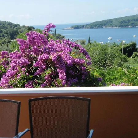 Apartman Luna *