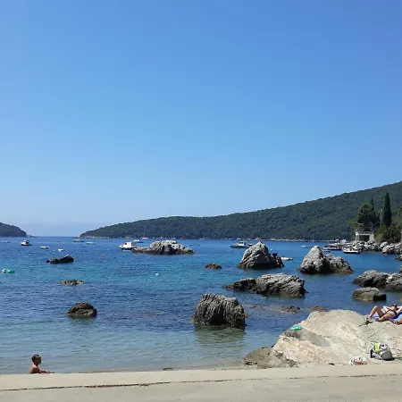 Luna Apartman Molunat